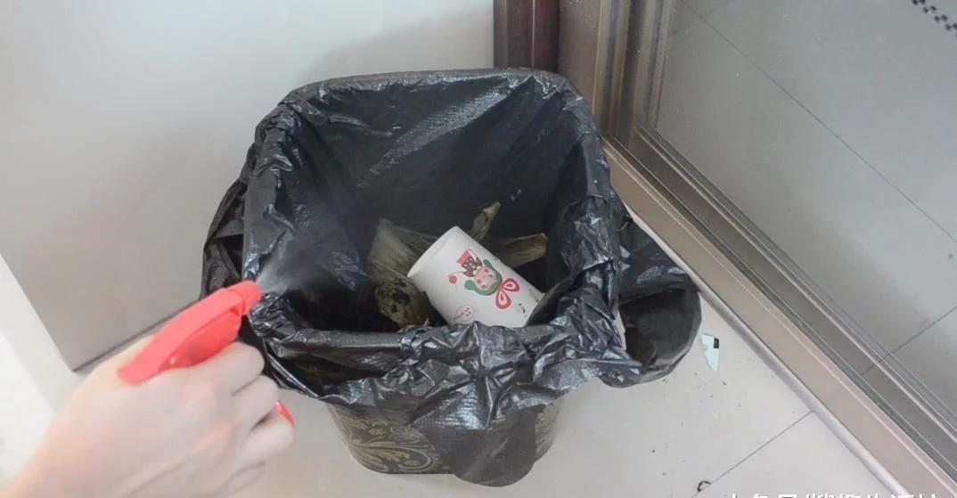 t0143b5abf80dde91ff.webp.jpg