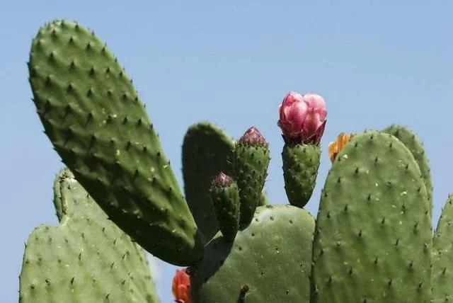 t01dd62b929212e618c.webp.jpg