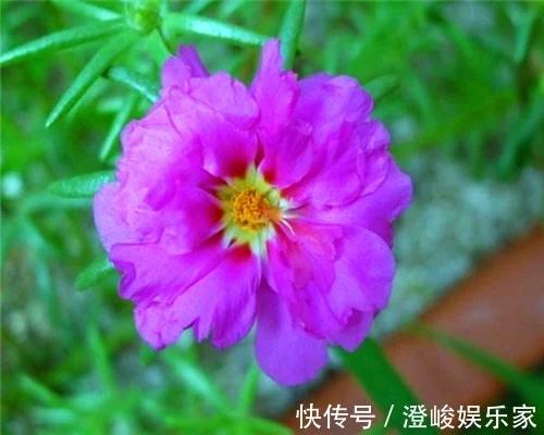 t01bc7ffcdefbdb578e.webp.jpg
