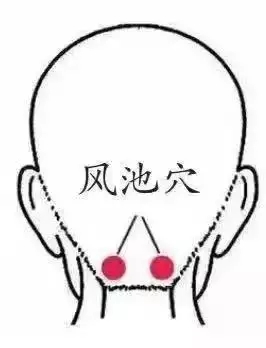 t011e409b6537c98d63.webp.jpg