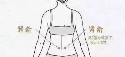 t0131b36b30c13c1cbc.webp.jpg