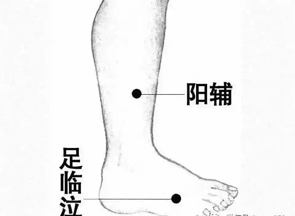 t01cefdeaa7d5430306.webp.jpg