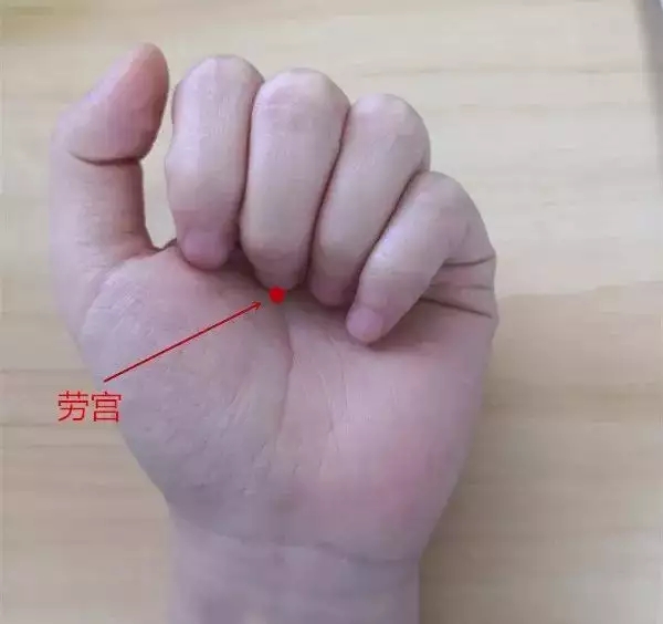 t015a36646f7ee1131e.webp (1).jpg