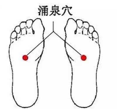 t0126639d6c4d00e492.webp.jpg