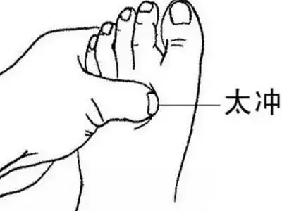 t01a4c587f3fe303856.webp.jpg