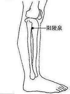 t0199b872597e074f44.webp.jpg