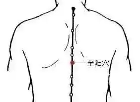 t01f6f620c3cf67b8ed.webp.jpg