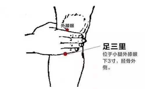 t012ecb8e6972559dcb.webp.jpg