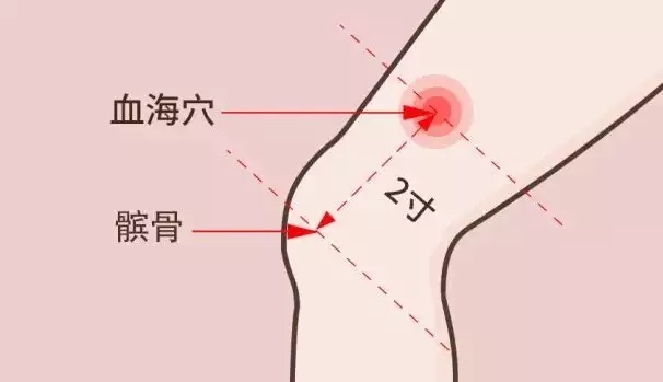 1682385619923408.jpg t01d0df1d234647ed0f.webp.jpg