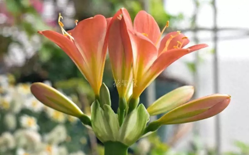 1693538892284290.jpg 0.jpg