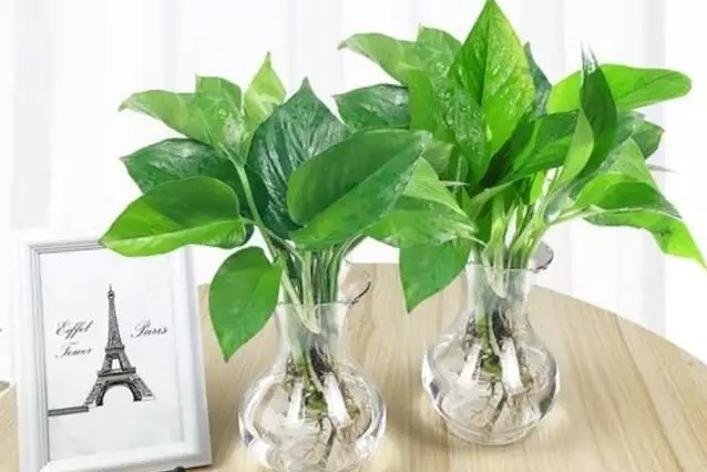 1697160671488812.jpg t01efc8e4281f6f7702.webp.jpg