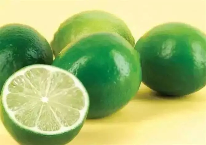 t016843f1e71ee6a34d.webp.jpg