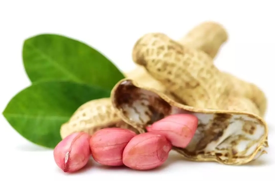 1723715929267481.png 1.png