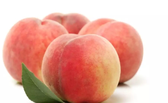 1724383258651142.png 1.png